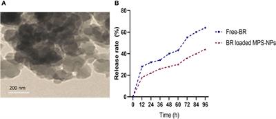 Tackling strong biofilm and multi-virulent vancomycin-resistant Staphylococcus aureus via natural alkaloid-based porous nanoparticles: perspective towards near future eradication